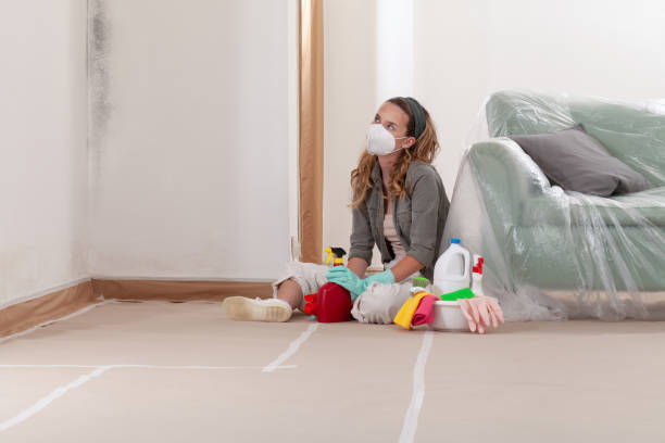Reliable Mold Remediation contractor in Annapolis, MD by Cheap Mold Removal